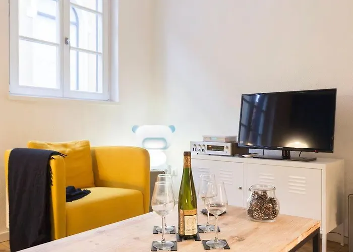 Appartement At In The Center Of Colmar